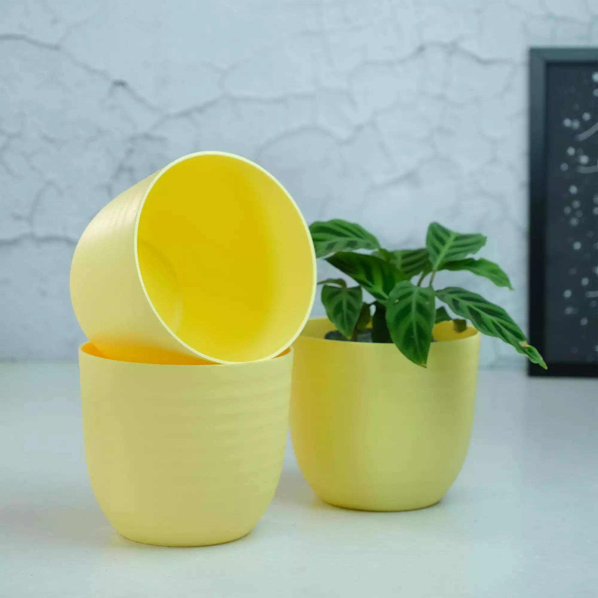Matte Fibre Pot