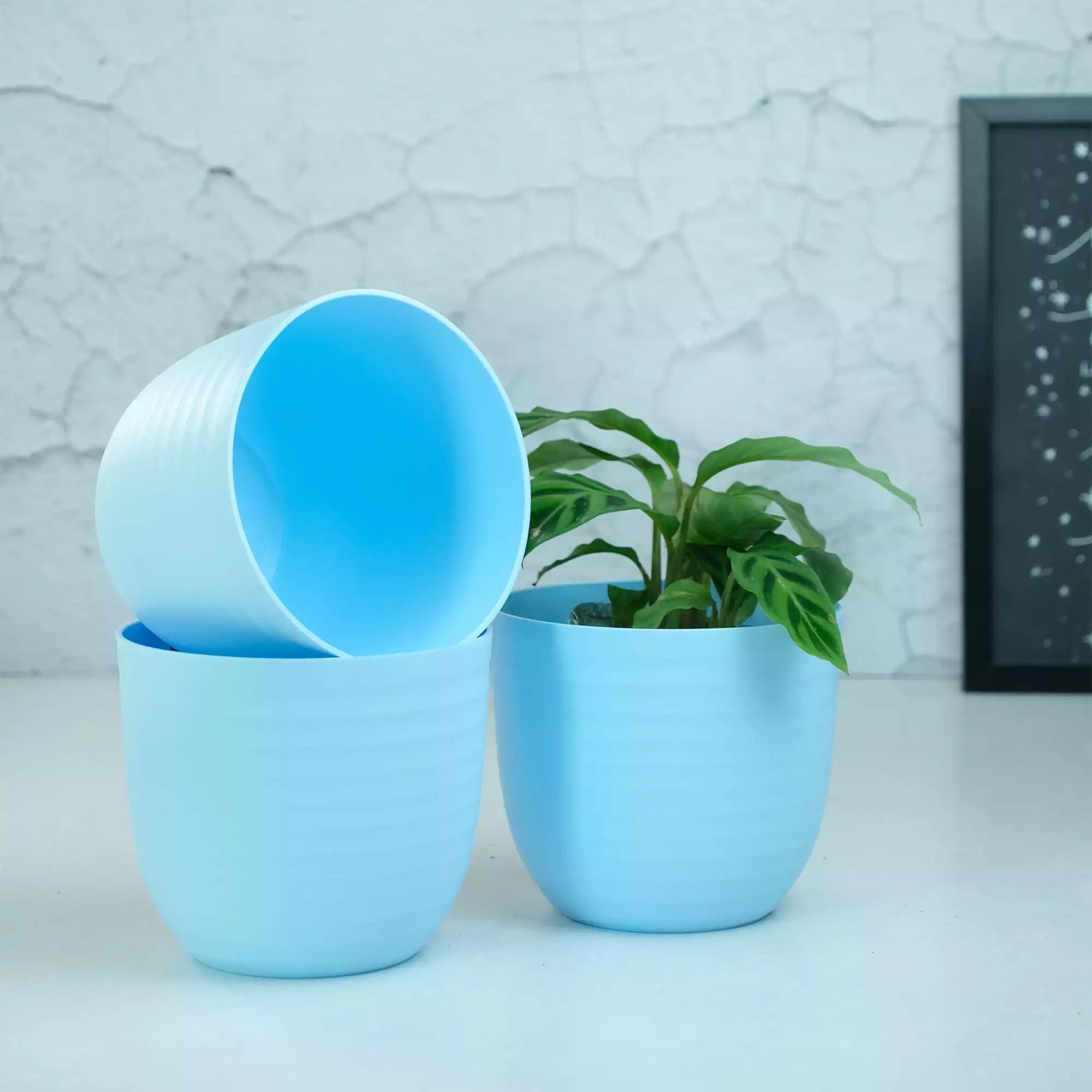 Matte Fibre Pot