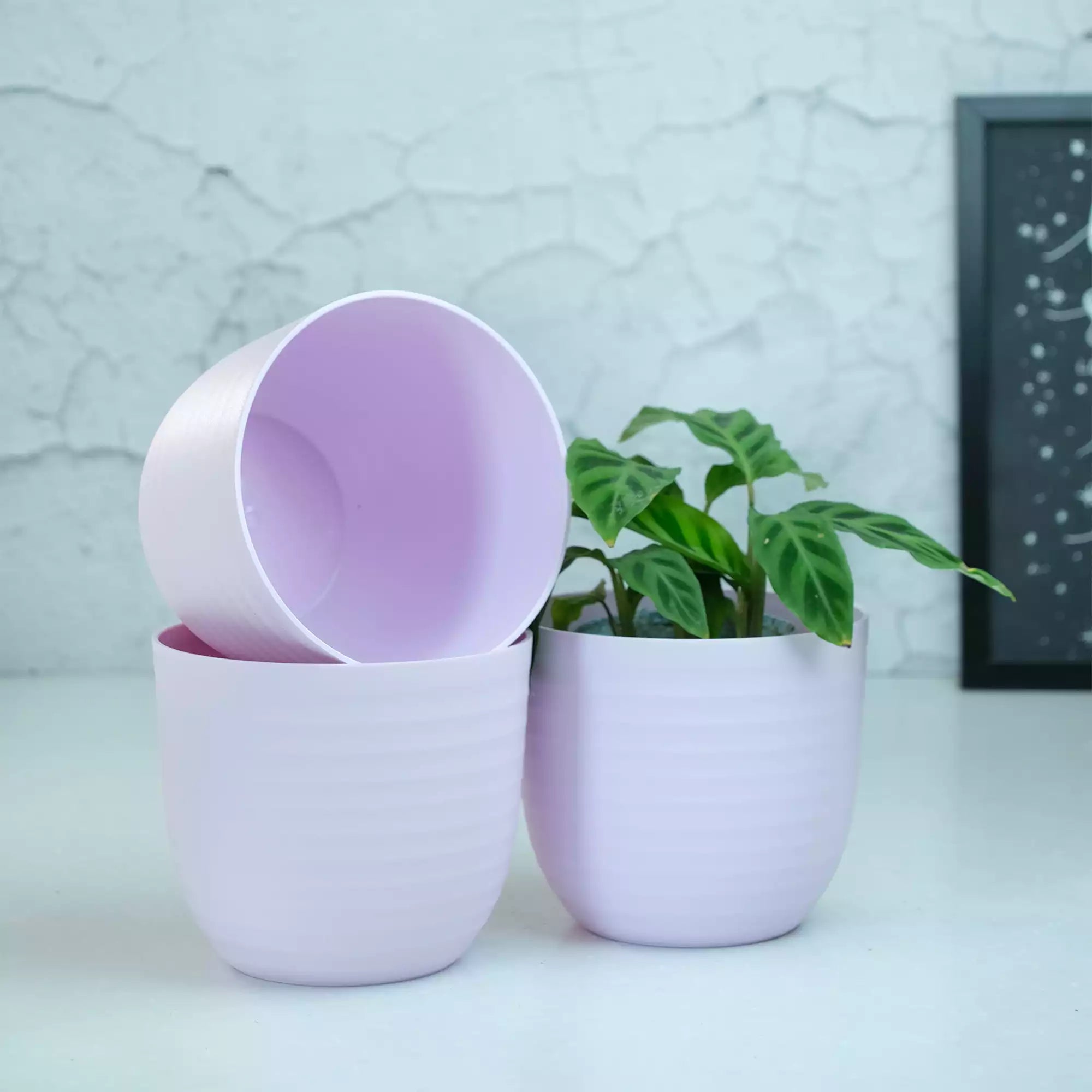 Matte Fibre Pot