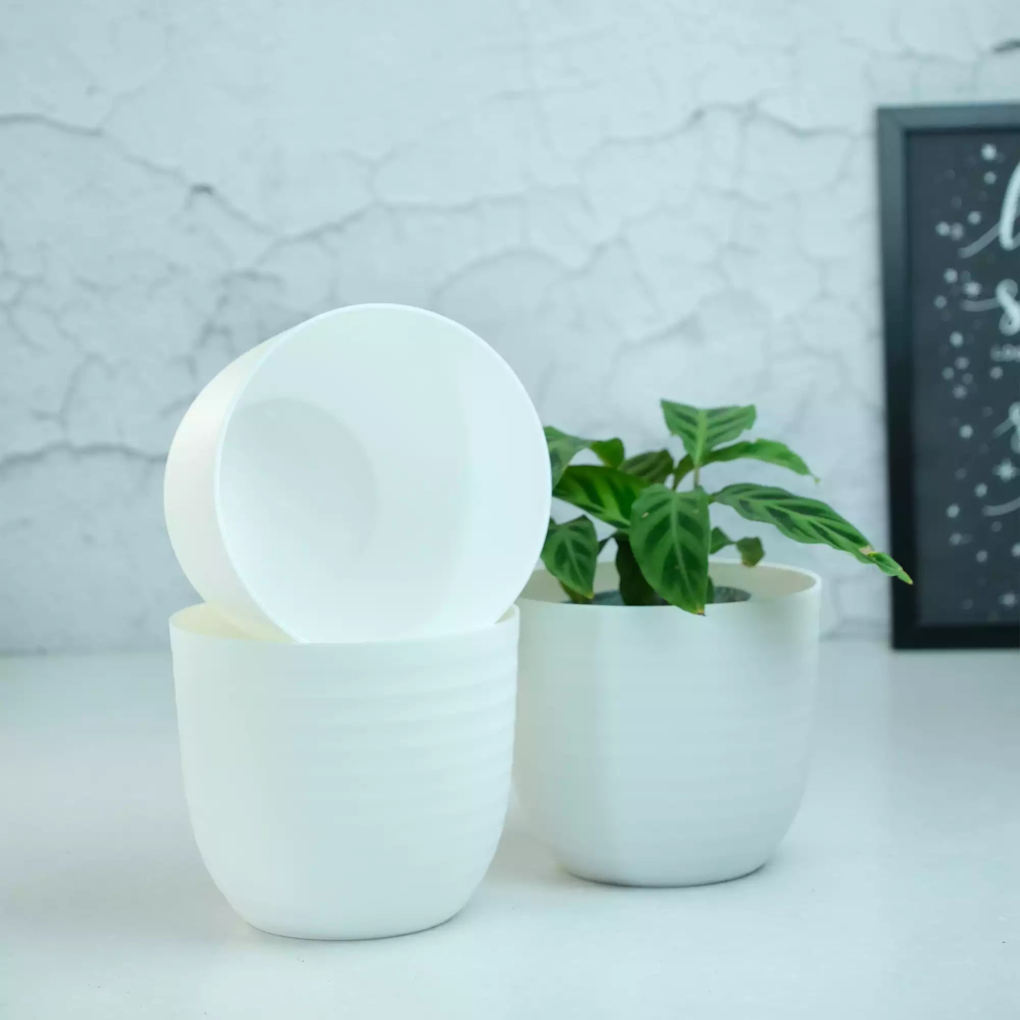 Matte Fibre Pot