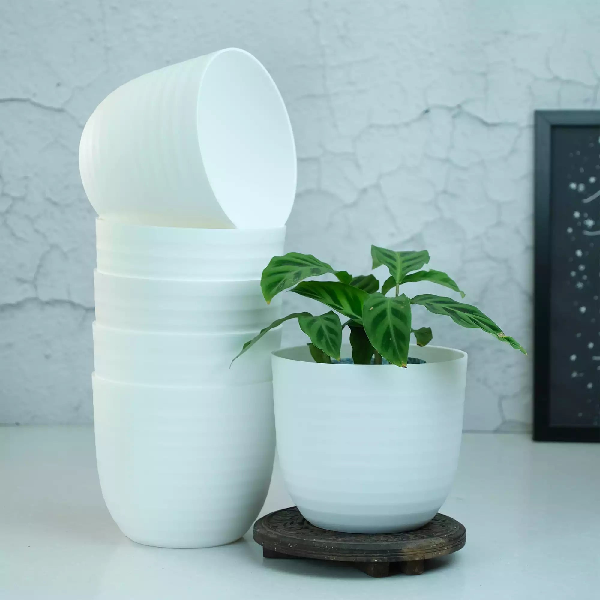 Matte Fibre Pot