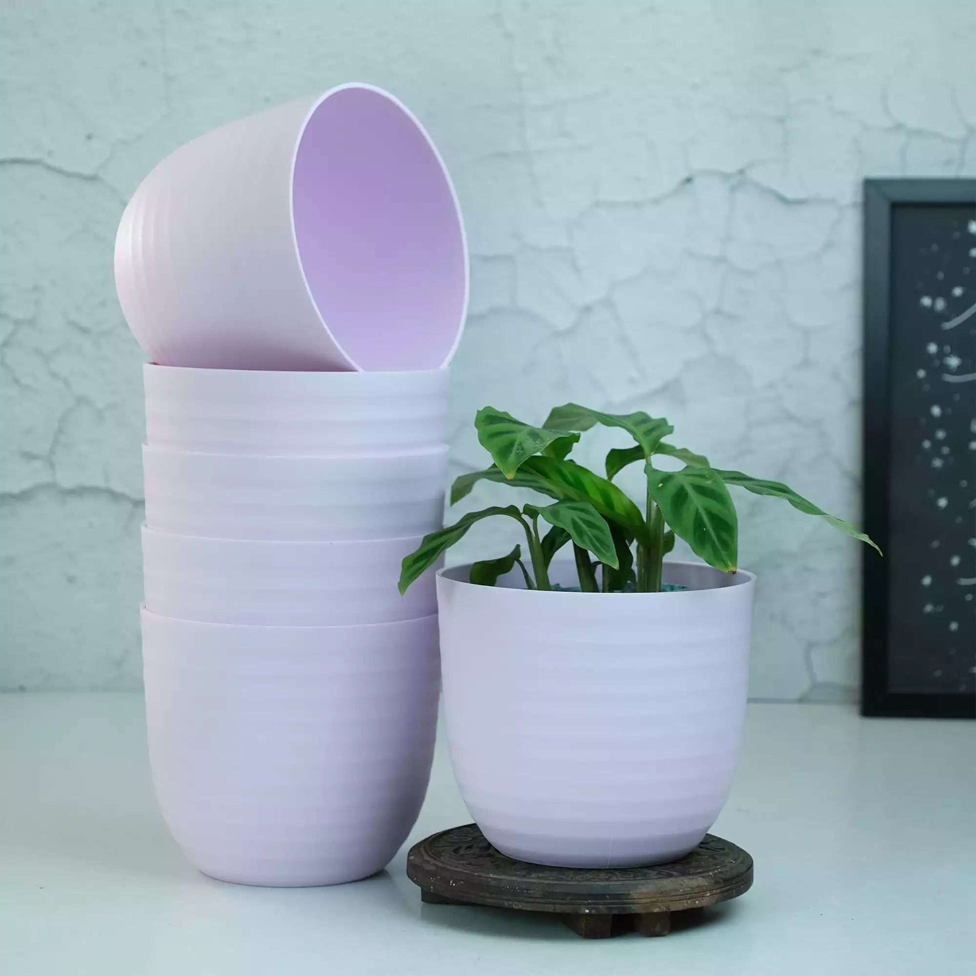 Matte Fibre Pot