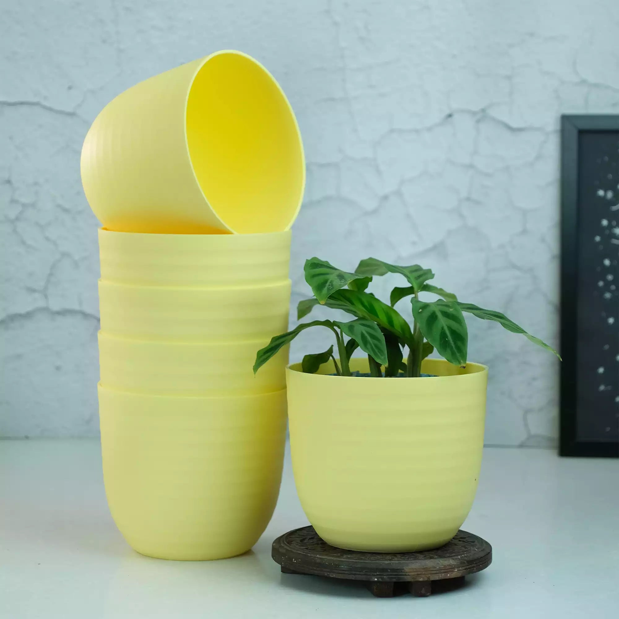 Matte Fibre Pot
