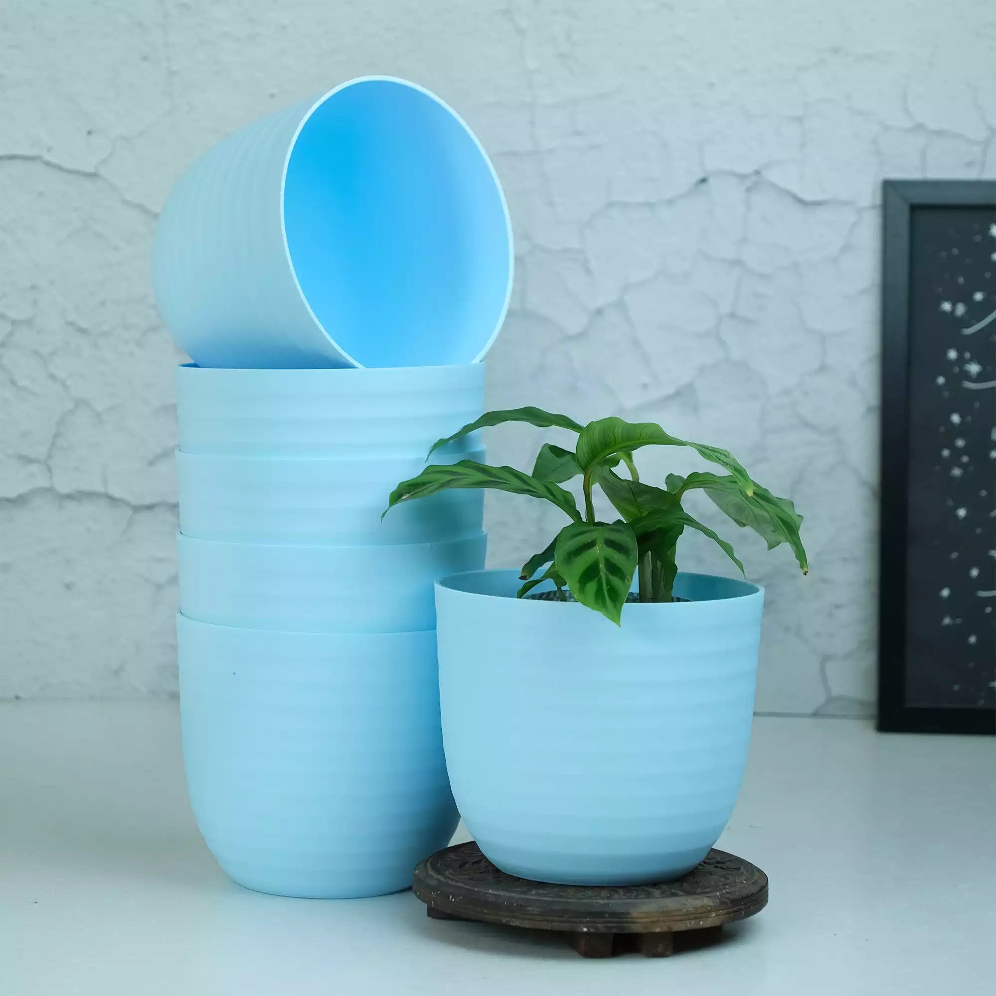 Matte Fibre Pot