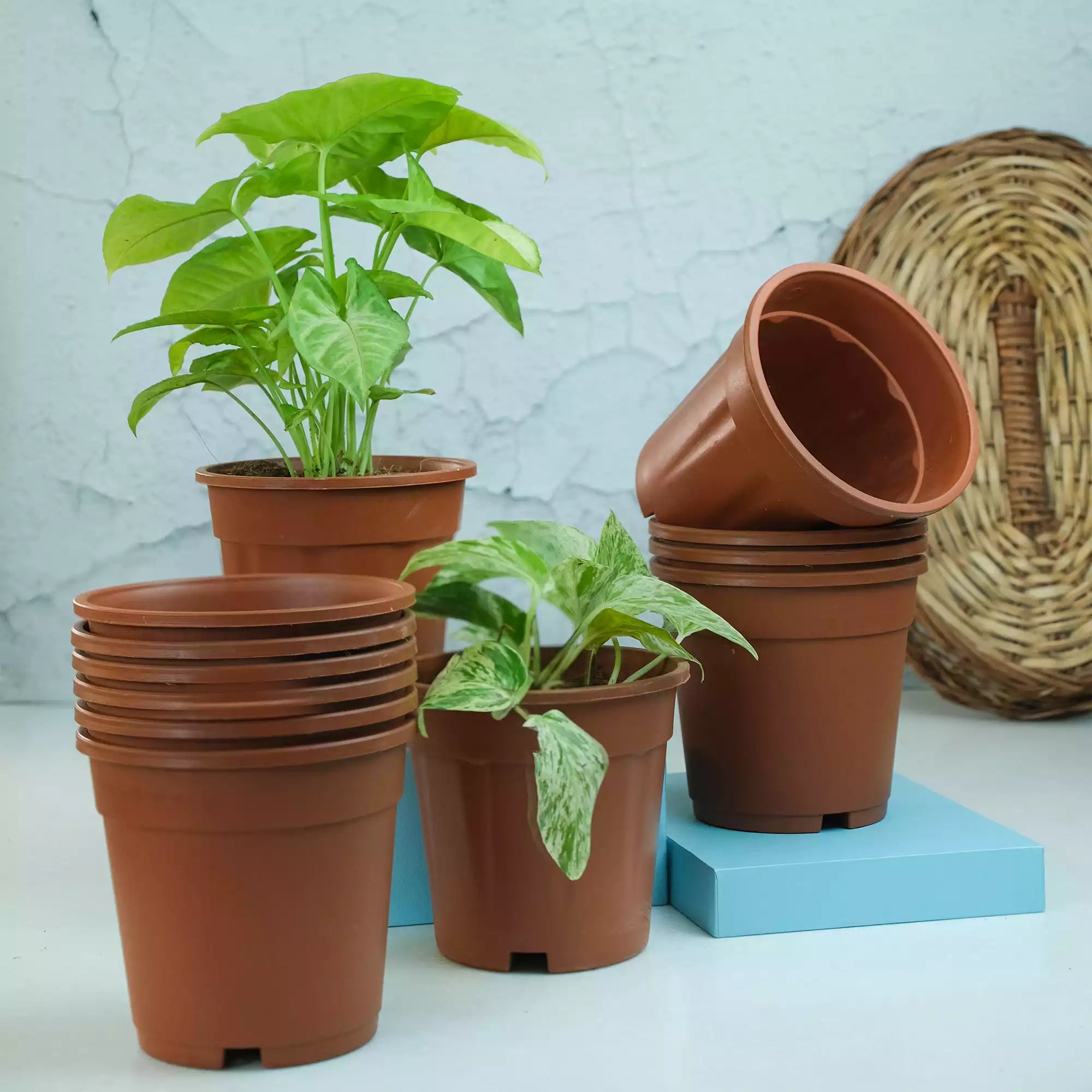 Nursery Fibre Pot