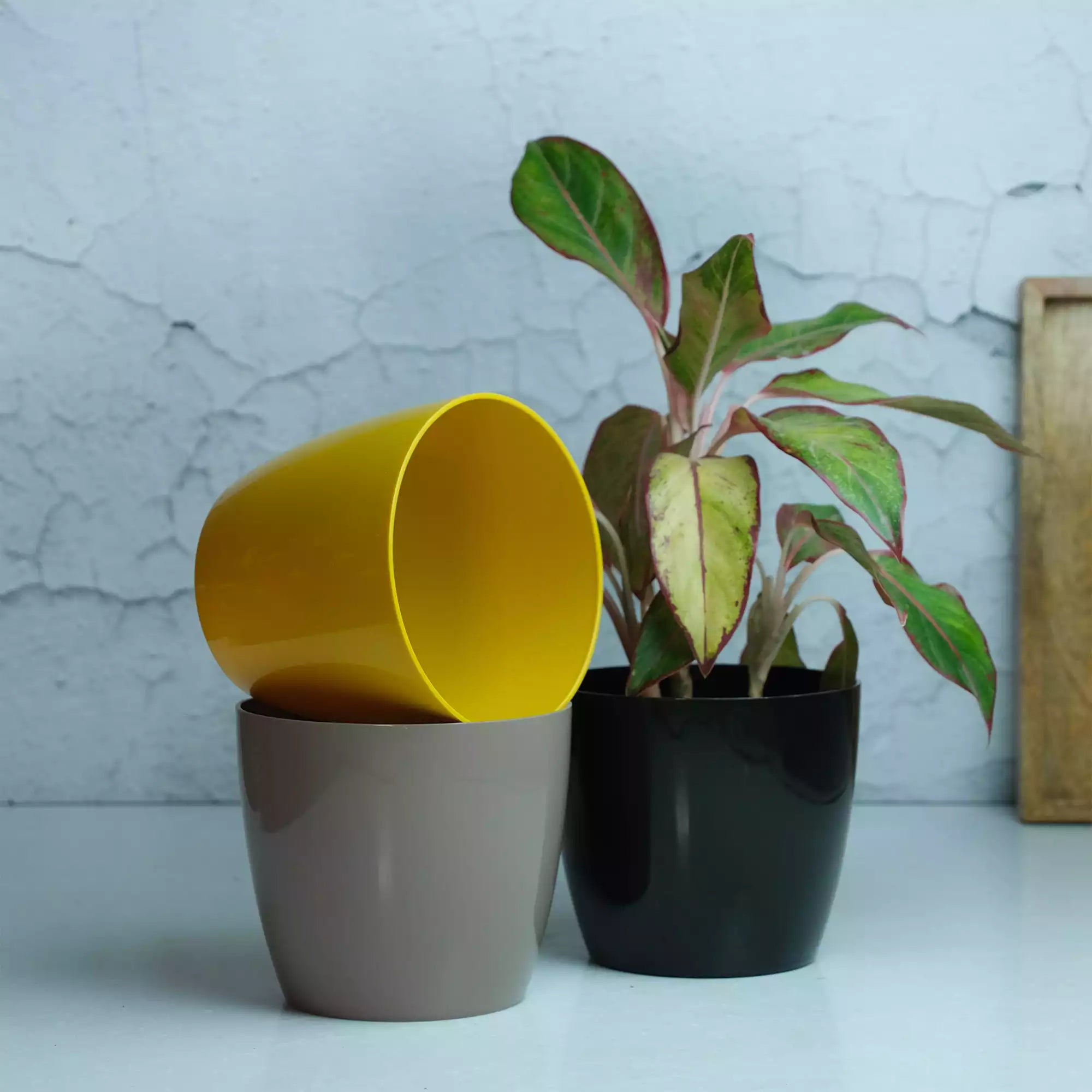 Glossy Fibre Pot