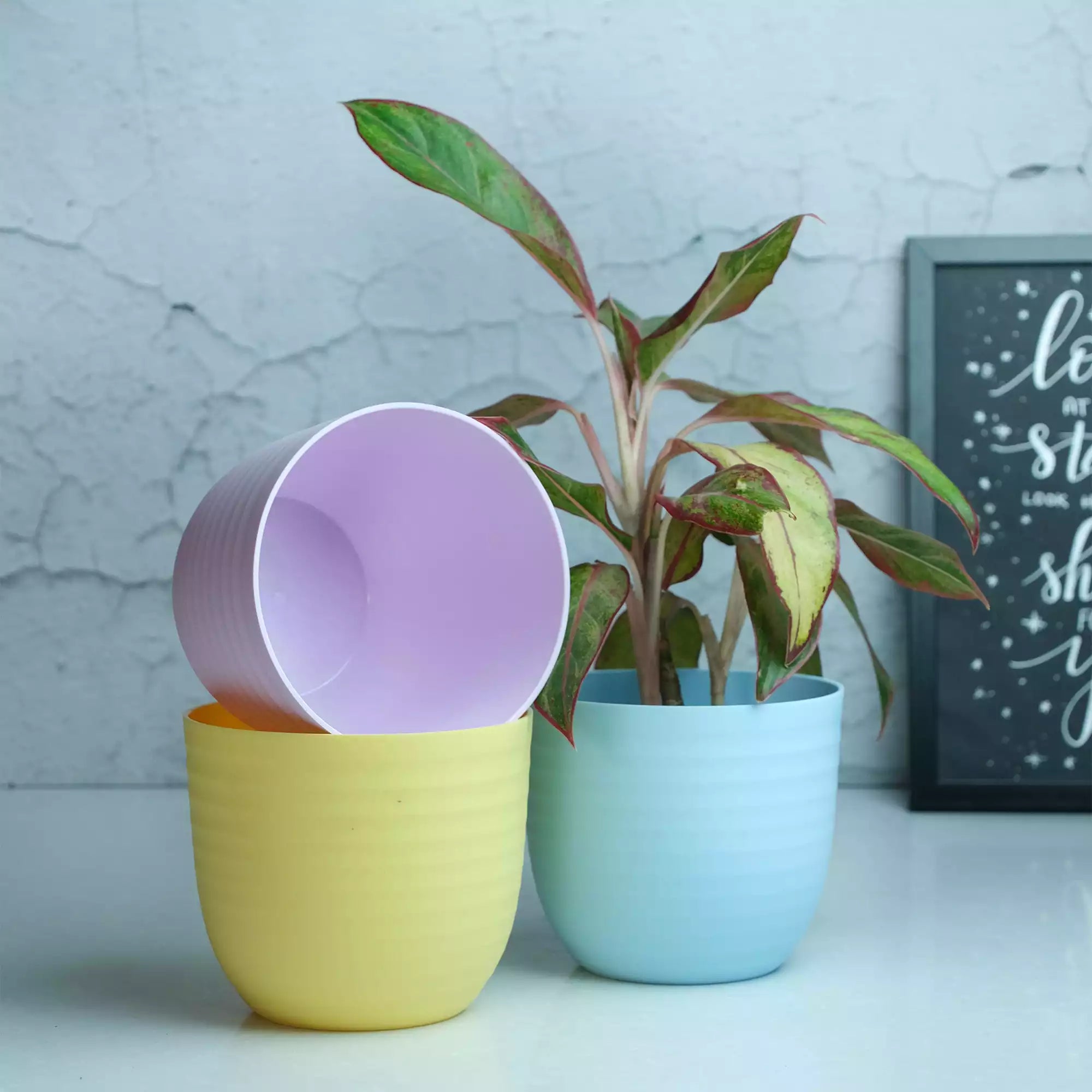 Matte Fibre Pot