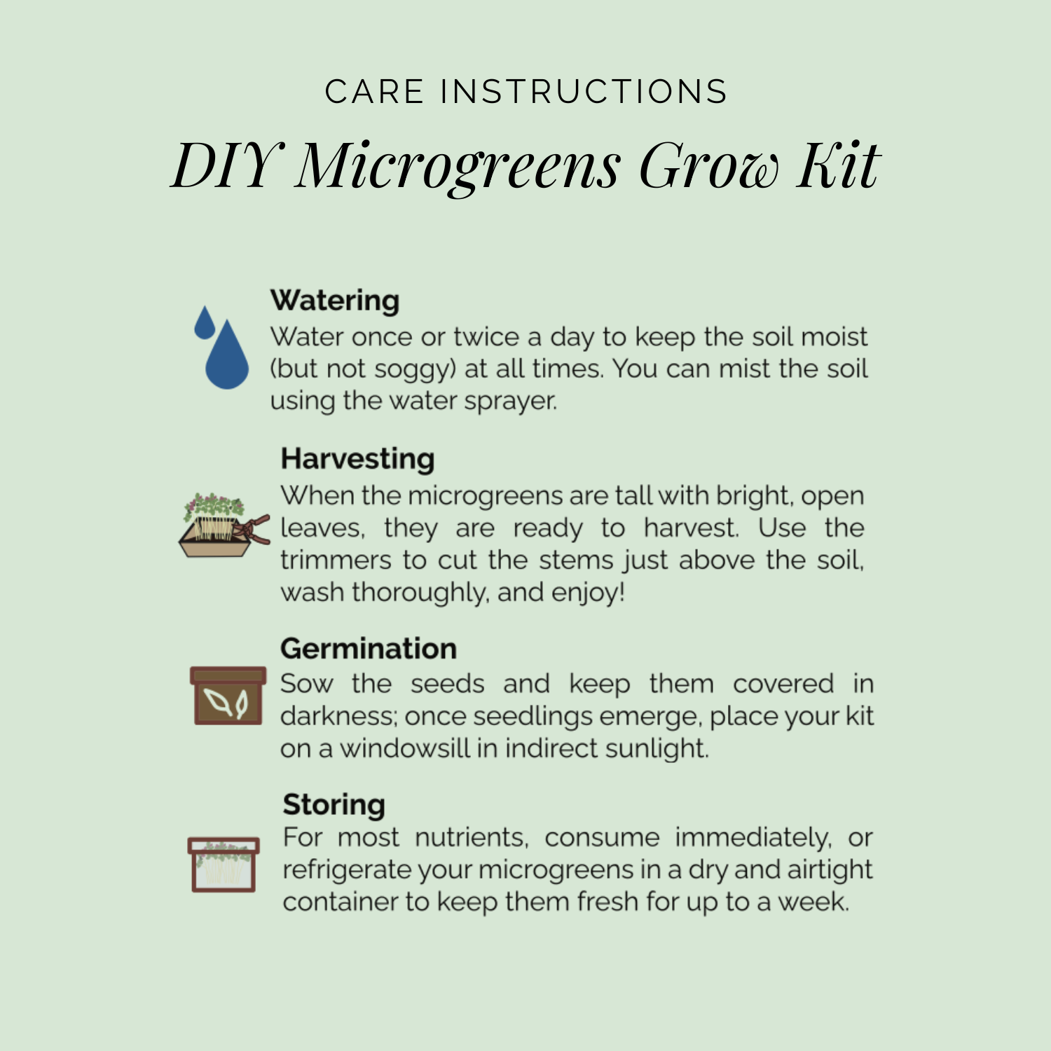 Rooted DIY Microgreens Grow Kit