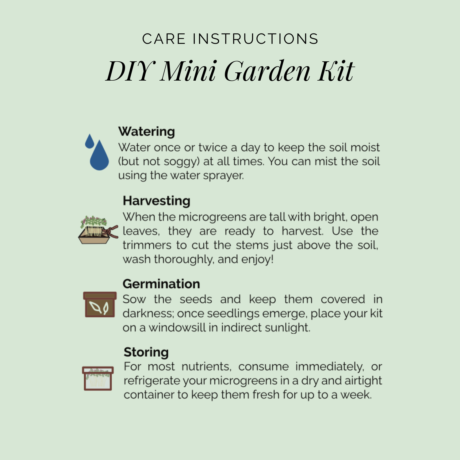 Rooted DIY Mini Garden Kit