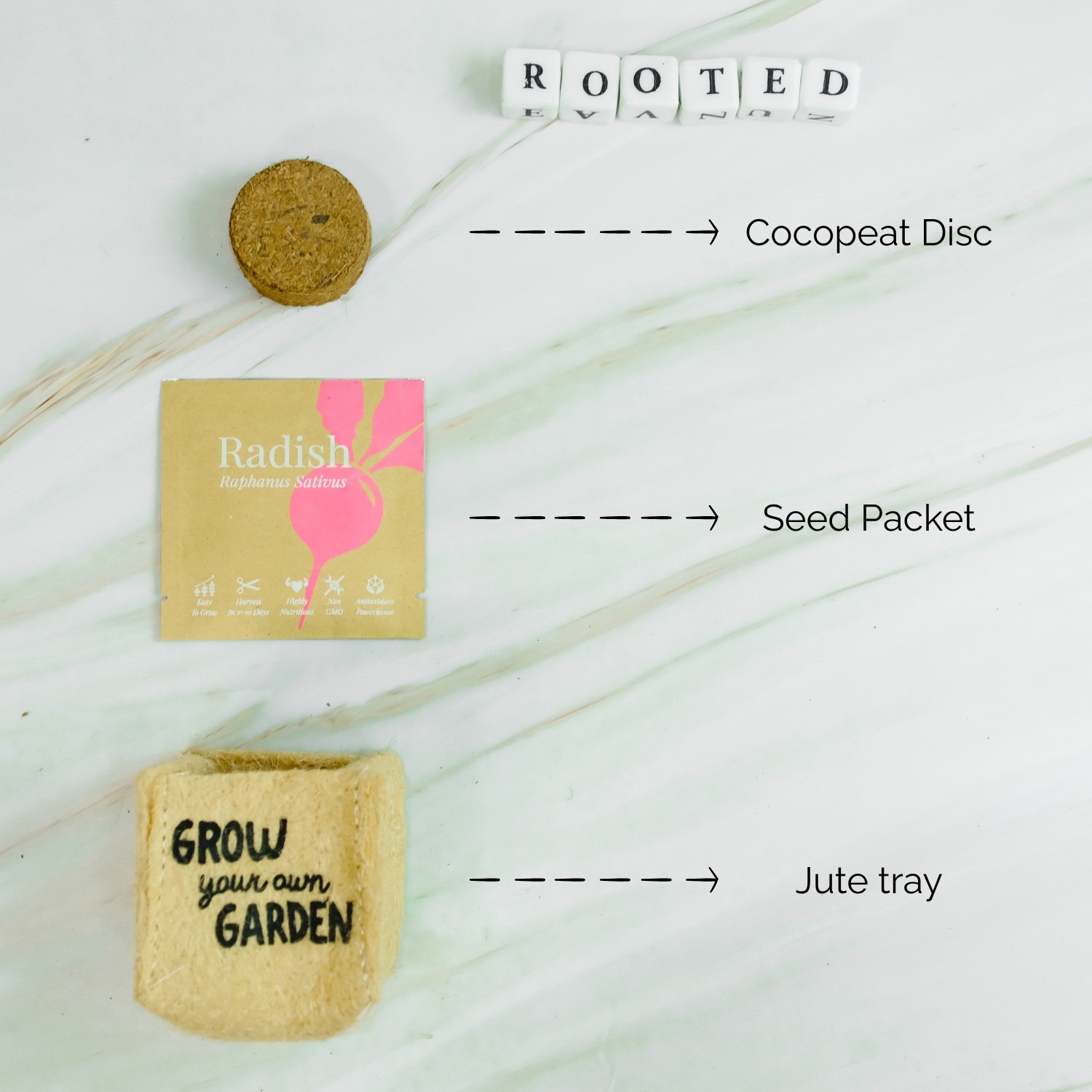 Rooted DIY Mini Garden Kit