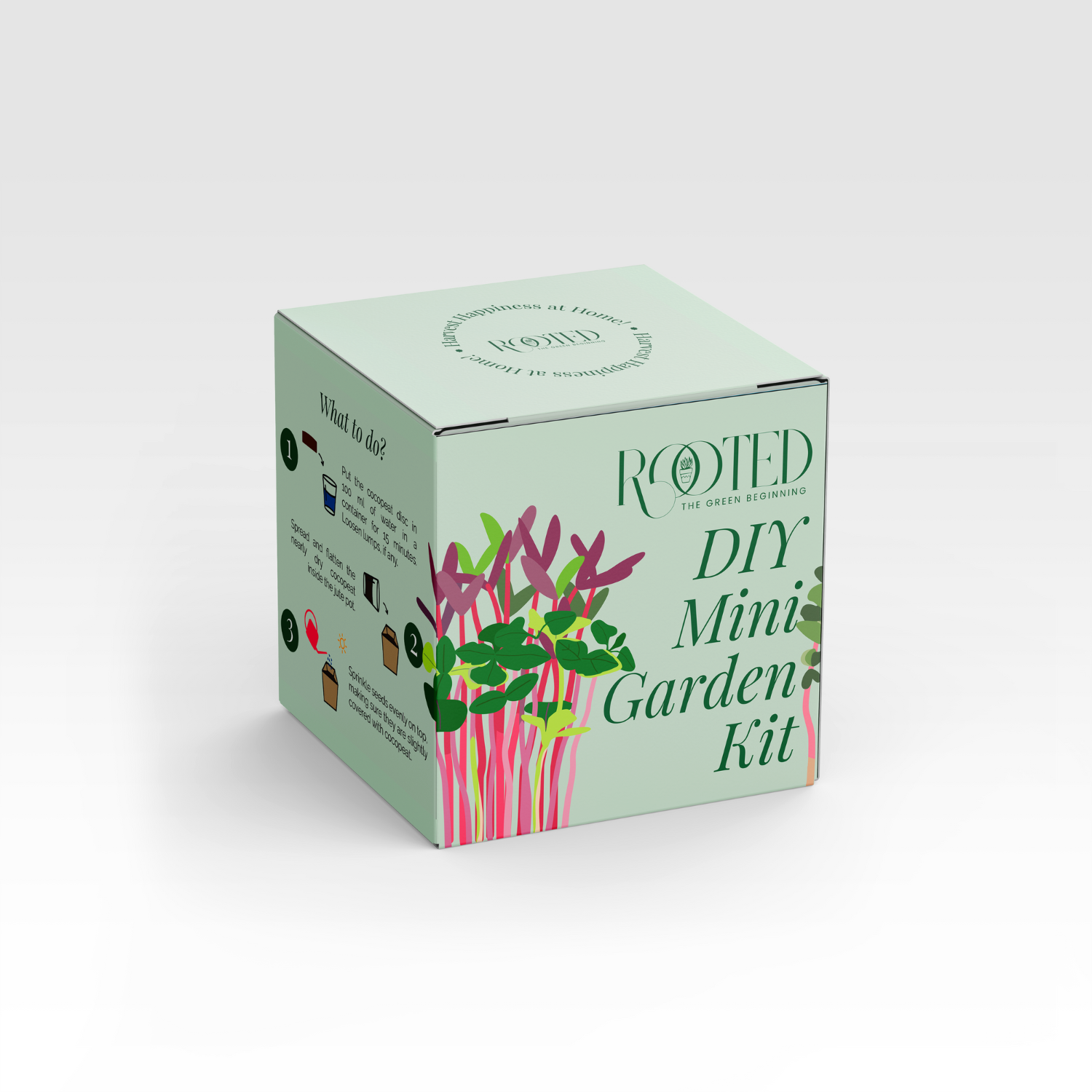 Rooted DIY Mini Garden Kit
