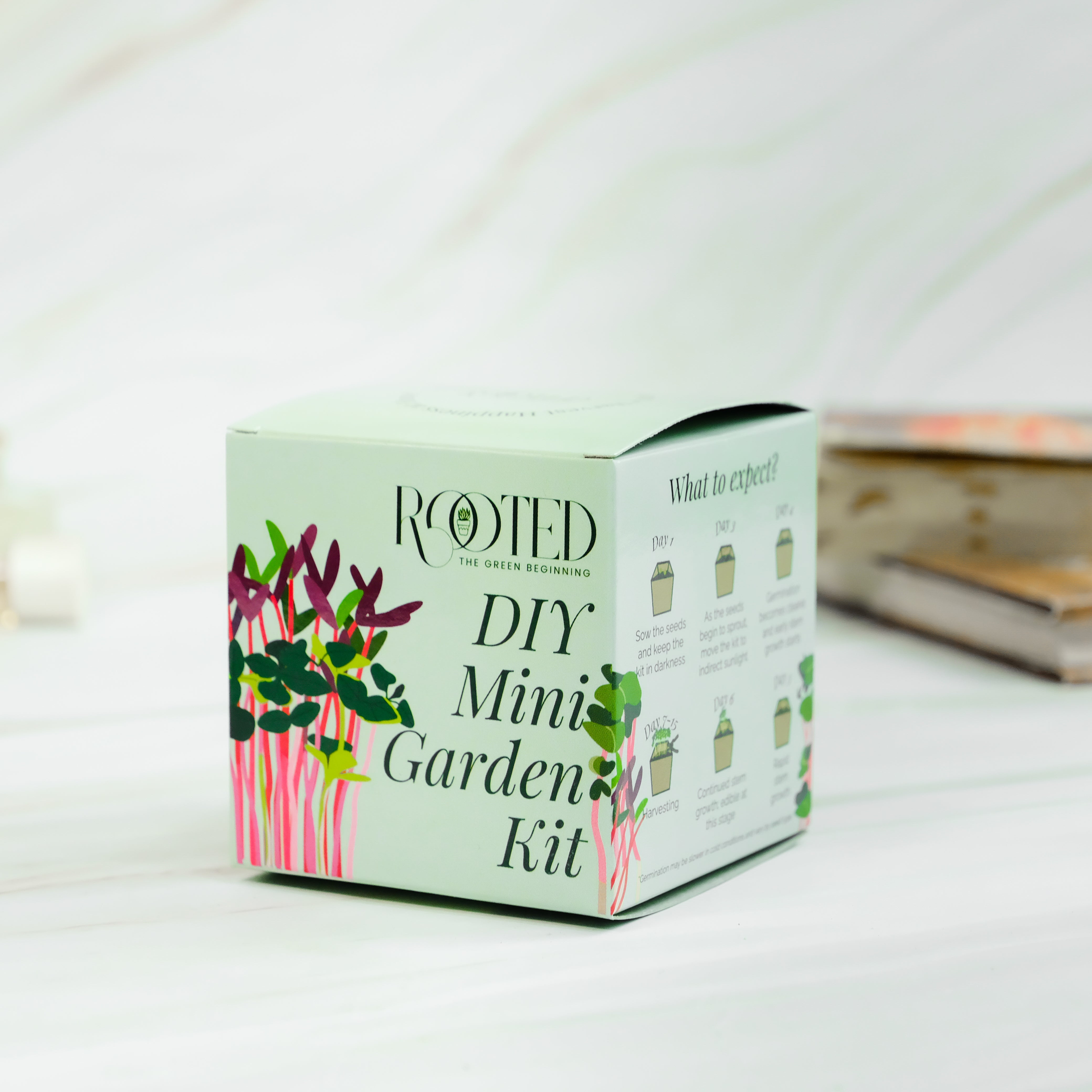 Rooted DIY Mini Garden Kit