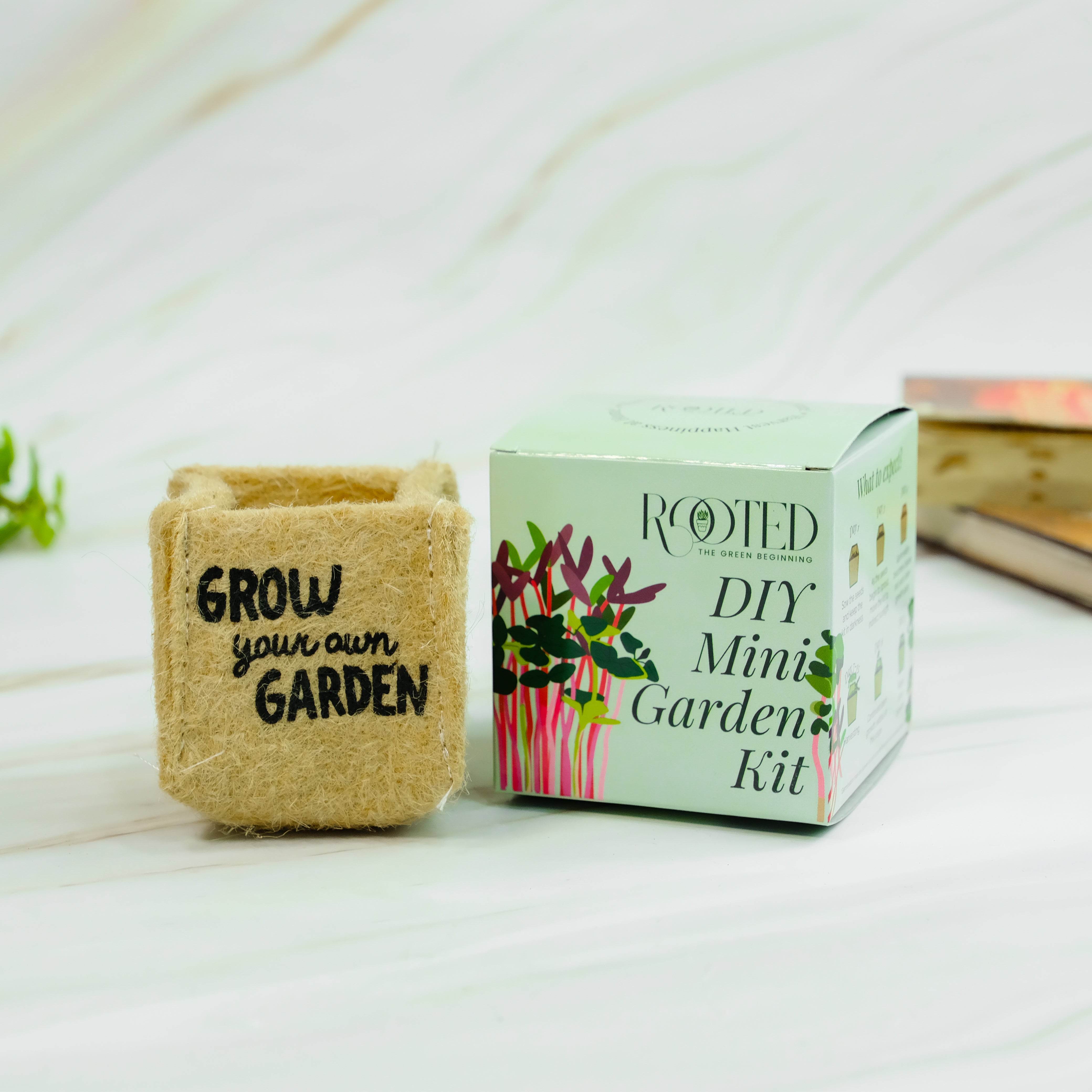 Rooted DIY Mini Garden Kit
