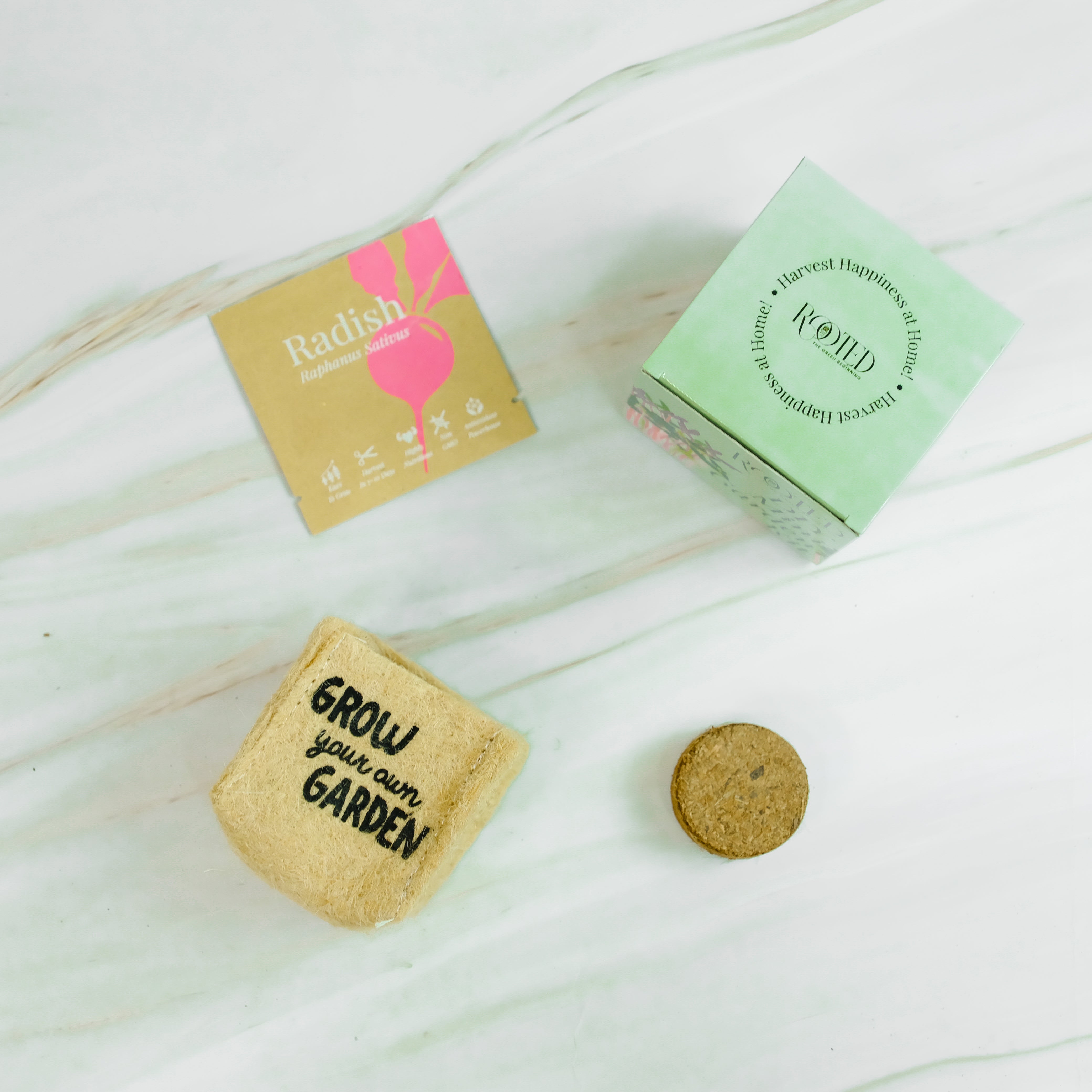 Rooted DIY Mini Garden Kit