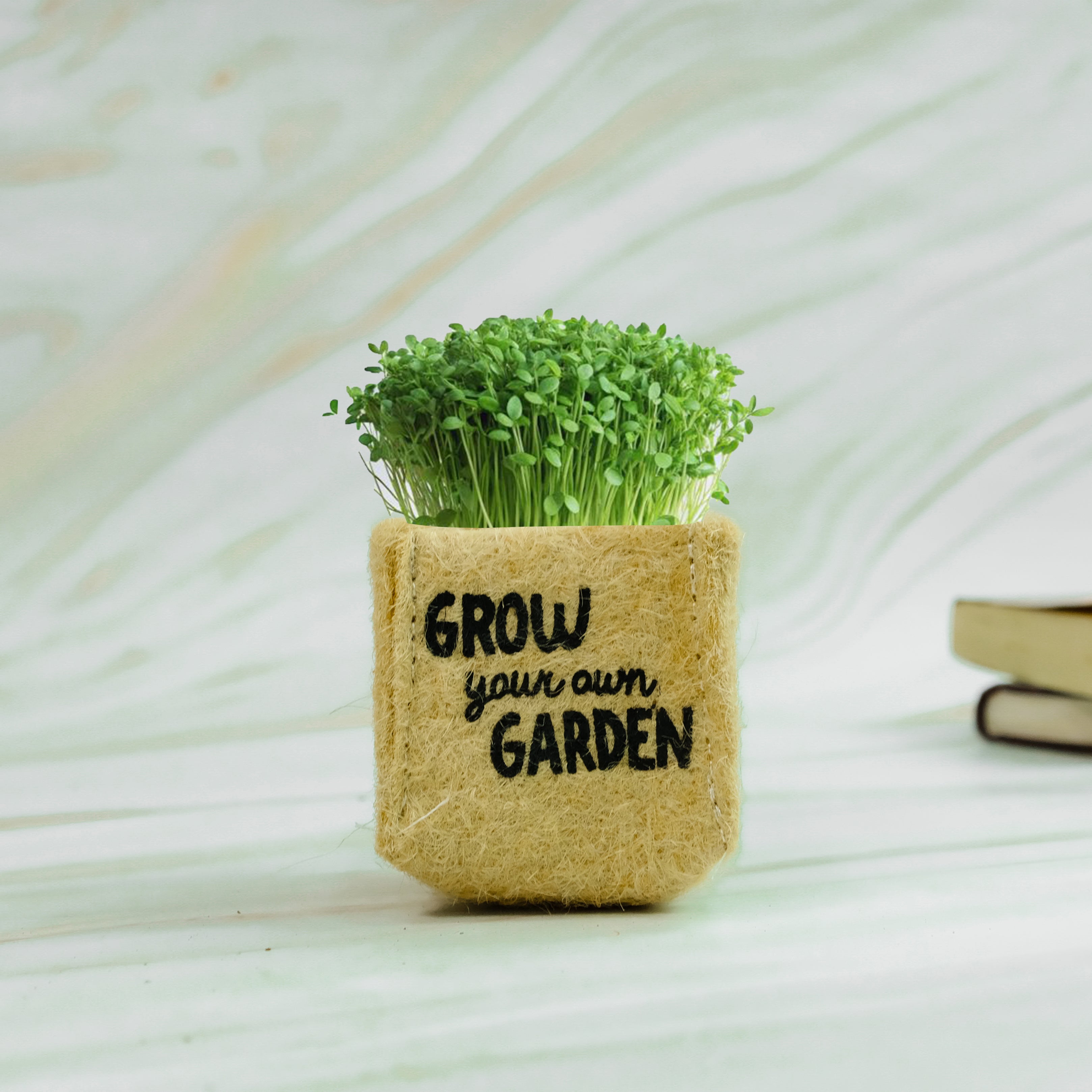 Rooted DIY Mini Garden Kit