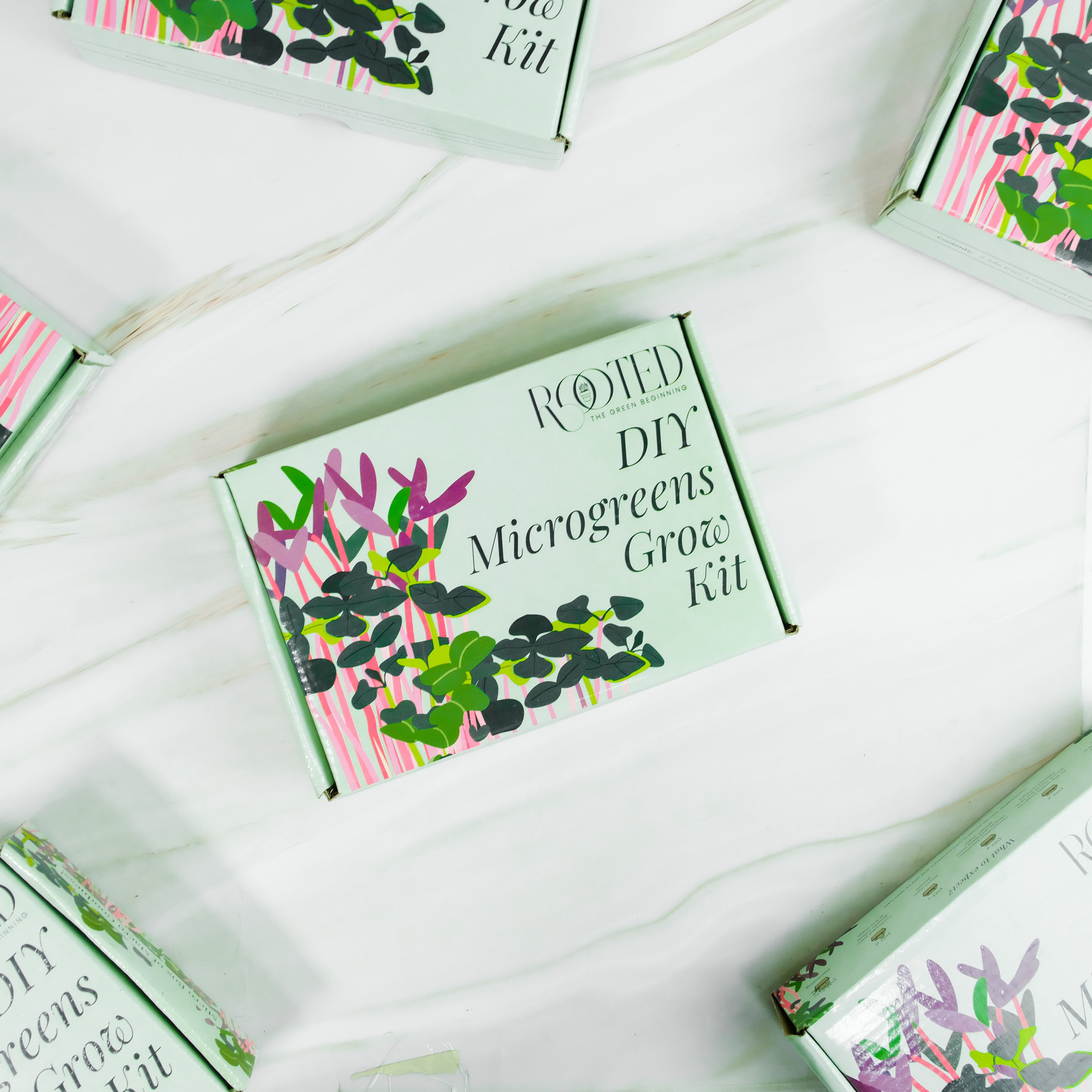 Rooted DIY Microgreens Grow Kit