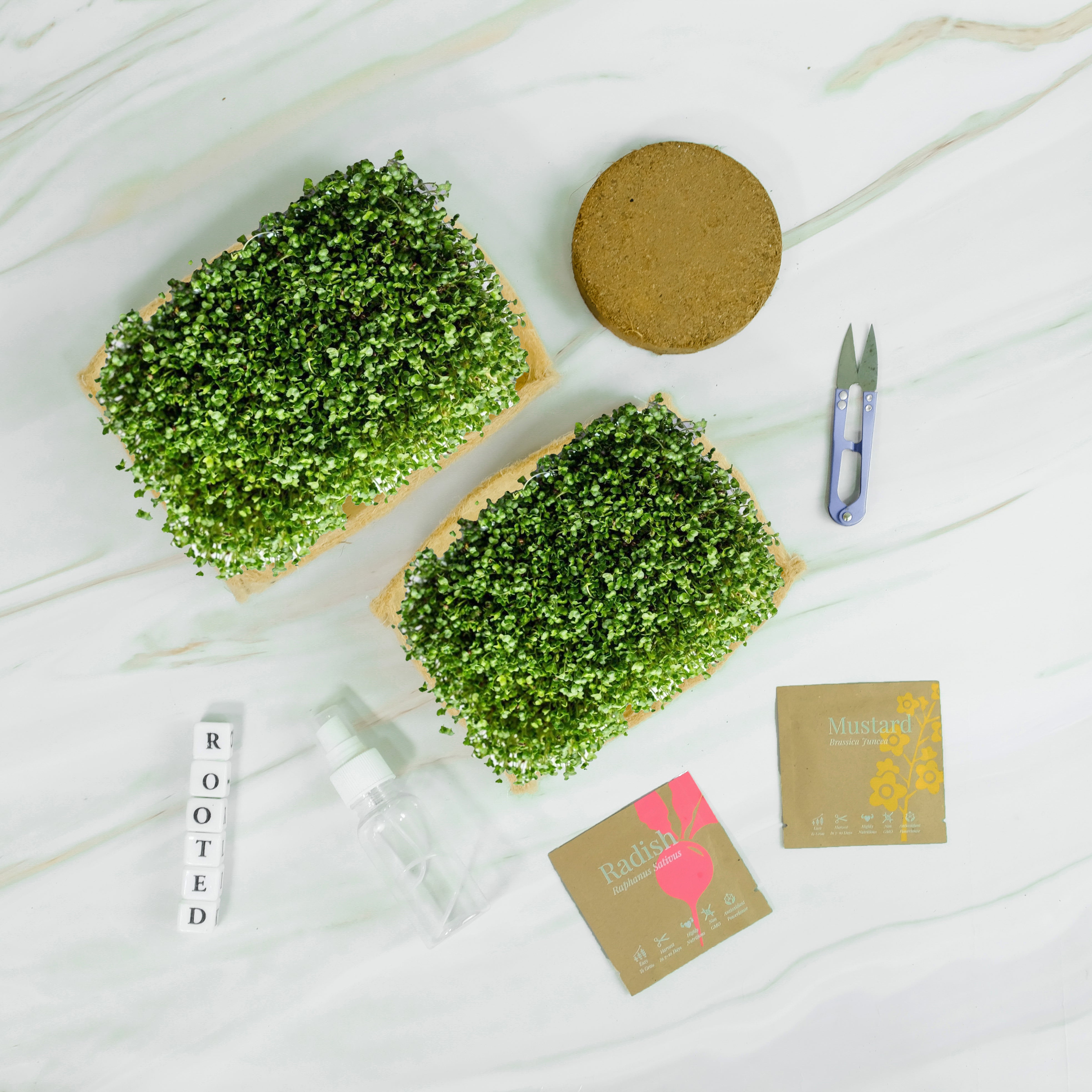 Rooted DIY Microgreens Grow Kit