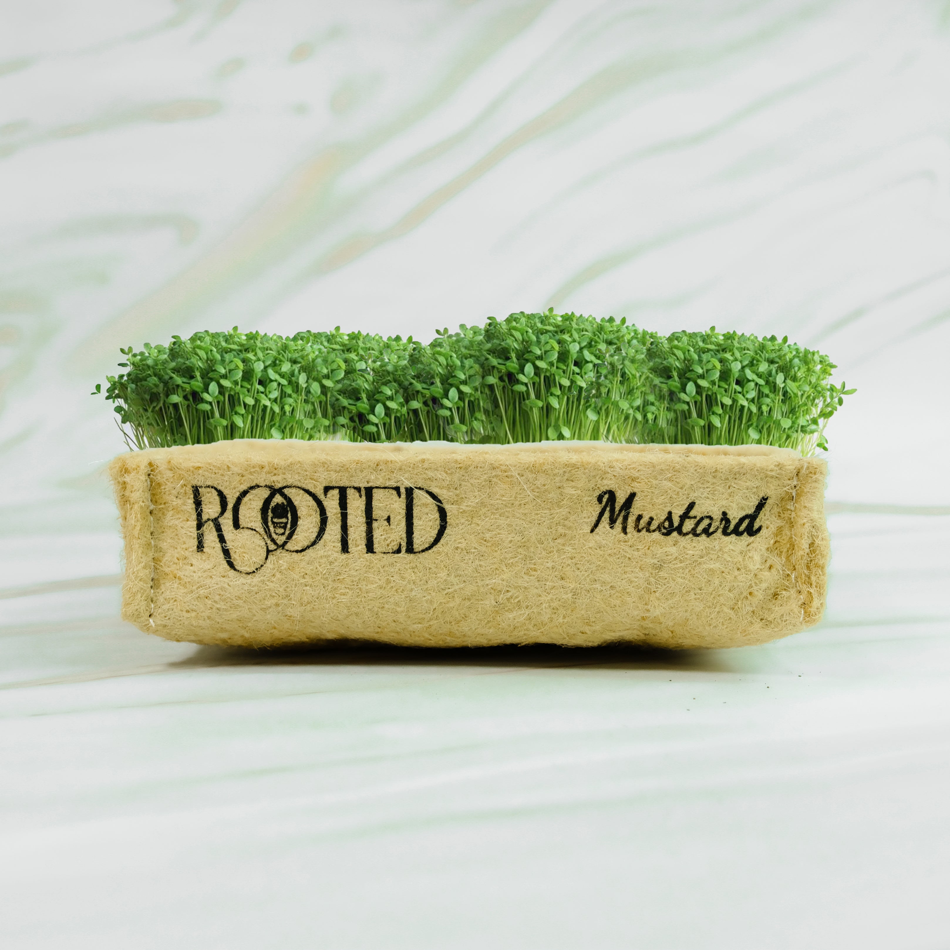 Rooted DIY Microgreens Grow Kit