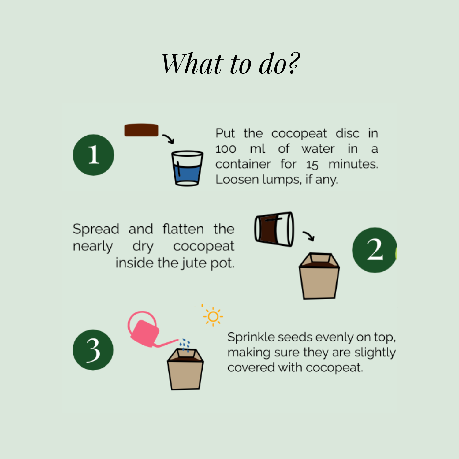 Rooted DIY Mini Garden Kit